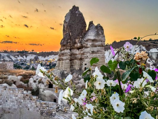 Flowers with Fairy Chimneys