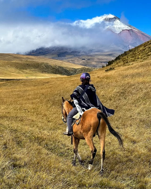 A woman in a riding helmet and traditional Ecuadorian poncho riding in Cotopaxi National Park