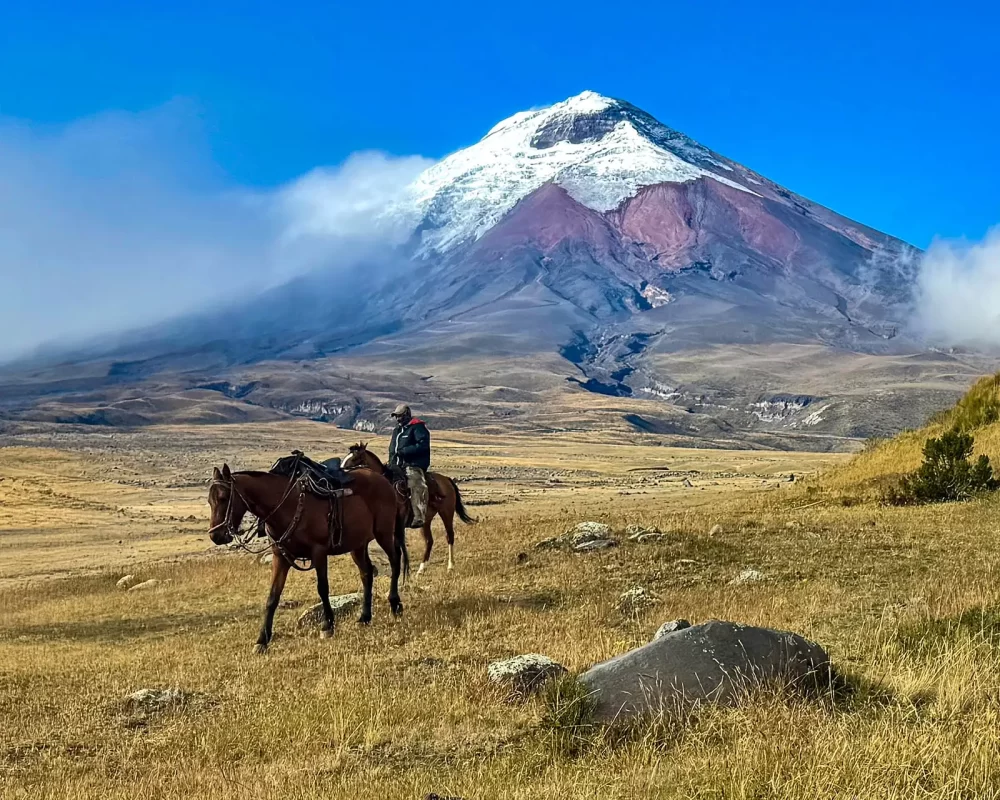 A horse guide wrangles two riderless horses away from Cotopaxi Volcano