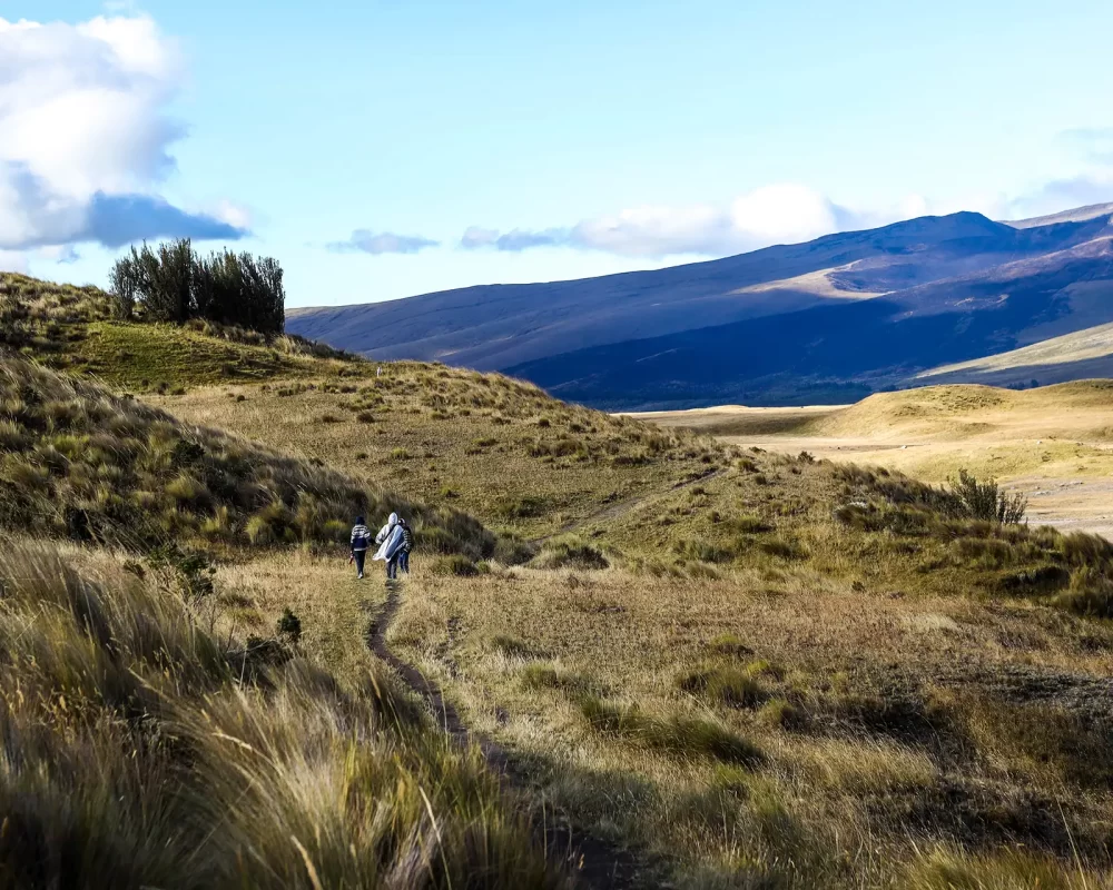 A family hikes along a narrow mountain trail covered in grass in Cotopaxi National Park