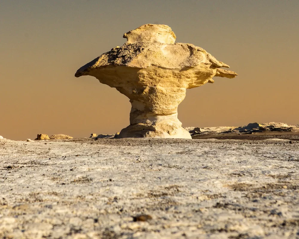 The Mushroom in Egypts White Desert